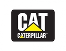 Caterpillar